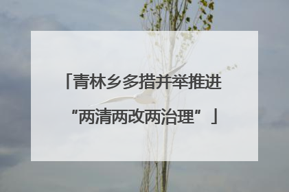 青林乡多措并举推进“两清两改两治理”