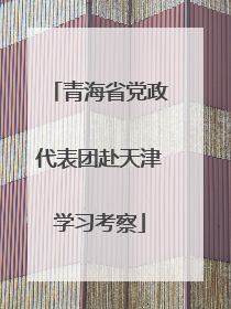 青海省党政代表团赴天津学习考察