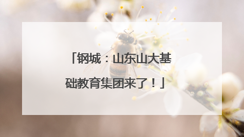 钢城：山东山大基础教育集团来了！