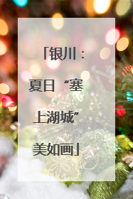 银川：夏日“塞上湖城”美如画