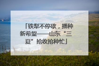 铁犁不停歇，播种新希望——山东“三夏”抢收抢种忙