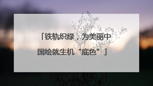 铁轨织绿，为美丽中国绘就生机“底色”