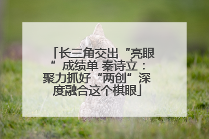 长三角交出“亮眼”成绩单 秦诗立：聚力抓好“两创”深度融合这个棋眼