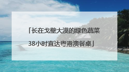 长在戈壁大漠的绿色蔬菜38小时直达粤港澳餐桌