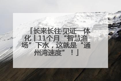 长来长往·见证一体化丨11个月“智慧渔场”下水，这就是“通州湾速度”！