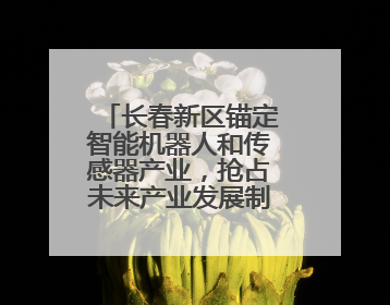 长春新区锚定智能机器人和传感器产业，抢占未来产业发展制高点