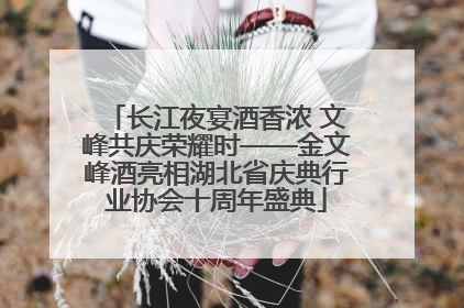 长江夜宴酒香浓 文峰共庆荣耀时——金文峰酒亮相湖北省庆典行业协会十周年盛典