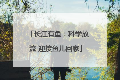 长江有鱼：科学放流 迎接鱼儿回家