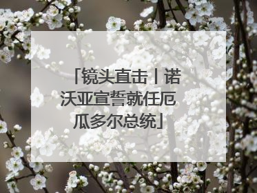 镜头直击丨诺沃亚宣誓就任厄瓜多尔总统