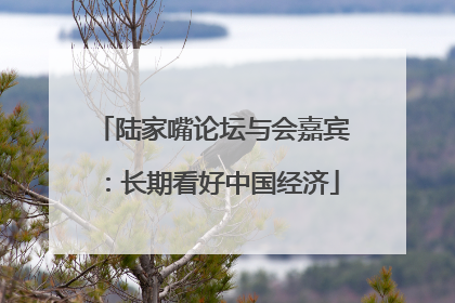 陆家嘴论坛与会嘉宾：长期看好中国经济