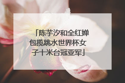 陈芋汐和全红婵包揽跳水世界杯女子十米台冠亚军