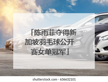 陈雨菲夺得新加坡羽毛球公开赛女单冠军