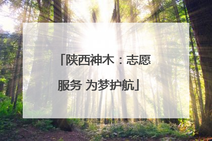 陕西神木：志愿服务 为梦护航