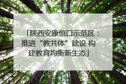 陕西安康恒口示范区：推进“教共体”建设 构建教育均衡新生态