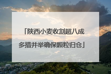 陕西小麦收割超八成 多措并举确保颗粒归仓