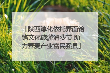 陕西淳化依托荞面饸饹文化旅游消费节 助力荞麦产业富民强县