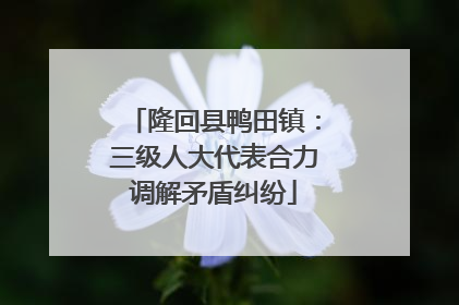 隆回县鸭田镇：三级人大代表合力调解矛盾纠纷