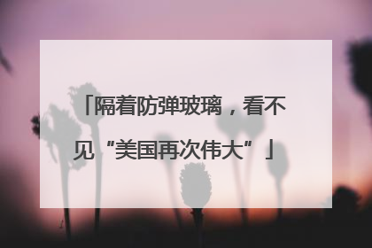 隔着防弹玻璃，看不见“美国再次伟大”