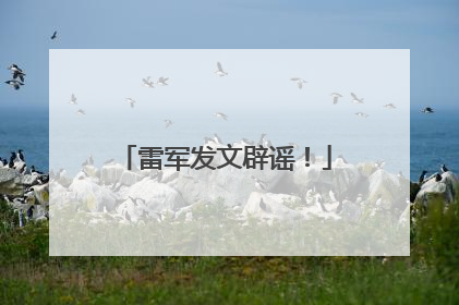 雷军发文辟谣！