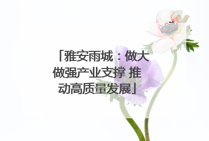 雅安雨城：做大做强产业支撑 推动高质量发展