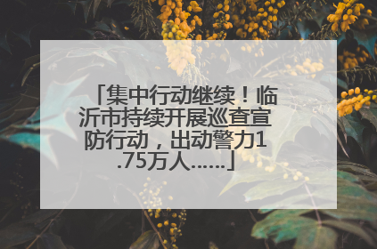 集中行动继续！临沂市持续开展巡查宣防行动，出动警力1.75万人……