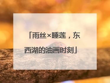 雨丝×睡莲，东西湖的油画时刻