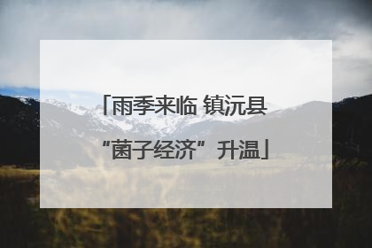 雨季来临 镇沅县“菌子经济”升温