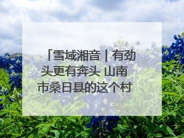 雪域湘音｜有劲头更有奔头 山南市桑日县的这个村落迎来蜕变
