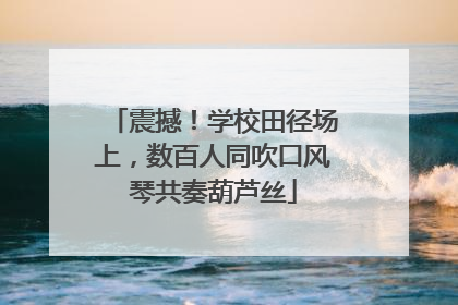 震撼！学校田径场上，数百人同吹口风琴共奏葫芦丝