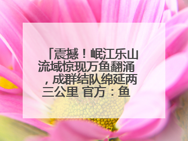 震撼！岷江乐山流域惊现万鱼翻涌，成群结队绵延两三公里 官方：鱼群在此产卵