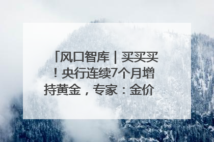 风口智库｜买买买！央行连续7个月增持黄金，专家：金价或仍易涨难跌