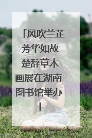 风吹兰芷 芳华如故 楚辞草木画展在湖南图书馆举办