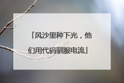 风沙里种下光，他们用代码驯服电流