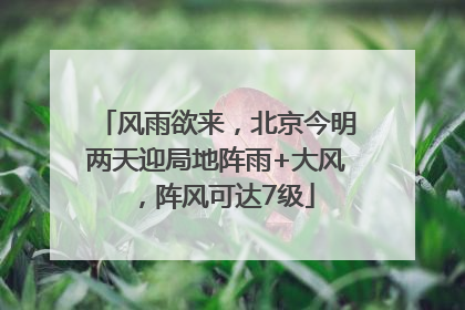 风雨欲来，北京今明两天迎局地阵雨+大风，阵风可达7级