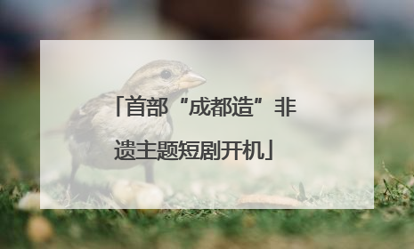 首部“成都造”非遗主题短剧开机