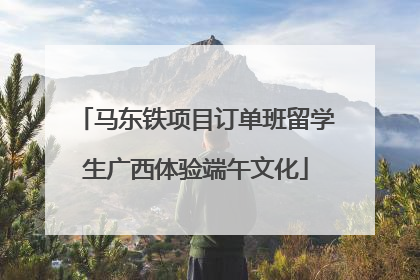 马东铁项目订单班留学生广西体验端午文化