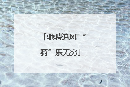 驰骋追风 “骑”乐无穷