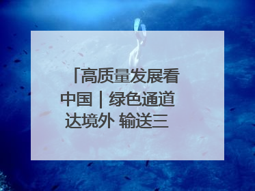 高质量发展看中国｜绿色通道达境外 输送三江“一口鲜”
