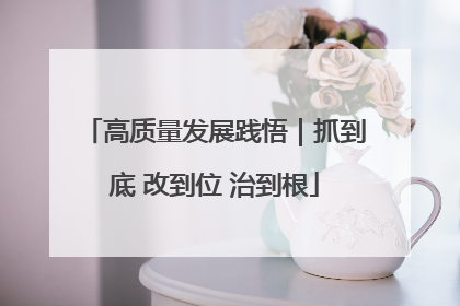 高质量发展践悟｜抓到底 改到位 治到根