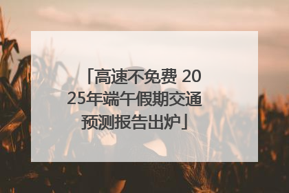高速不免费 2025年端午假期交通预测报告出炉
