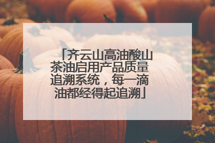 齐云山高油酸山茶油启用产品质量追溯系统，每一滴油都经得起追溯