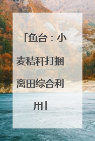 鱼台：小麦秸秆打捆离田综合利用