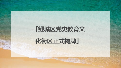 鲤城区党史教育文化街区正式揭牌