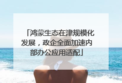 鸿蒙生态在津规模化发展，政企全面加速内部办公应用适配