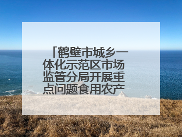 鹤壁市城乡一体化示范区市场监管分局开展重点问题食用农产品专项整治