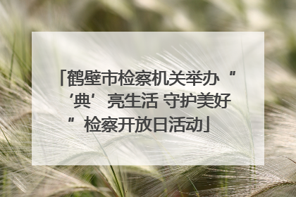 鹤壁市检察机关举办“‘典’亮生活 守护美好”检察开放日活动