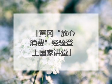 黄冈“放心消费”经验登上国家讲堂