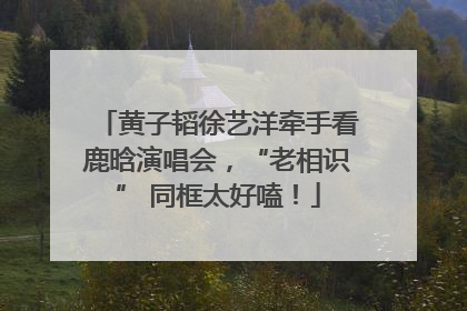 黄子韬徐艺洋牵手看鹿晗演唱会，“老相识” 同框太好嗑！