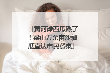 黄河滩西瓜熟了！梁山万余亩沙瓤瓜直达市民餐桌