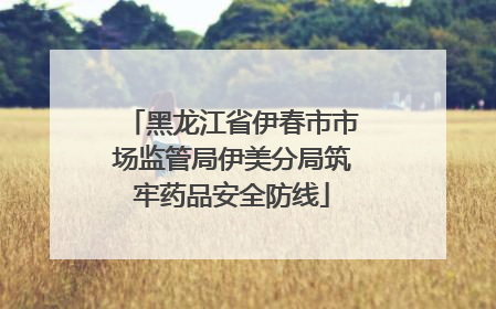 黑龙江省伊春市市场监管局伊美分局筑牢药品安全防线